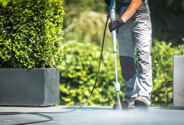 Best Solar Panel Cleaning  in Buna, TX