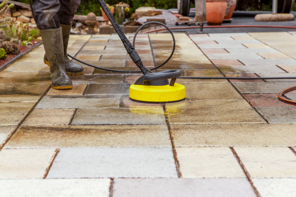 Best Animal Enclosure Cleaning  in Buna, TX