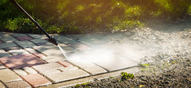 Best Fleet Vehicle Washing  in Buna, TX